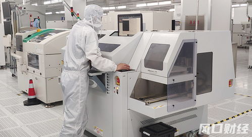 青股速遞 青島兩家 爾系 企業共闖ipo,細分賽道龍頭越來越受資金認可